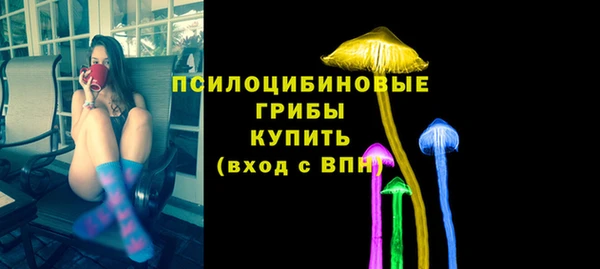 МДПВ Аркадак