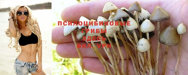 ALPHA PVP Арсеньев