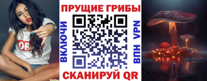 как найти закладки  Трёхгорный  blacksprut   Псилоцибиновые грибы прущие грибы 