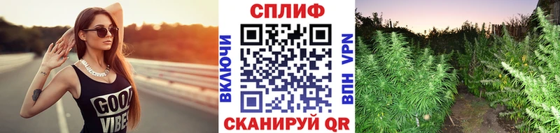 цены наркотик  omg ТОР  Бошки Шишки конопля  Трёхгорный 